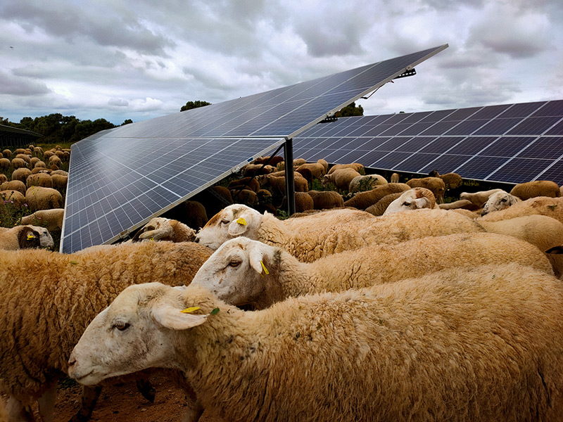 Elmya Energy is a Renewable Energy Development Platform that aims to connect 2 GW renewable energy projects over the next 5 years along Europe